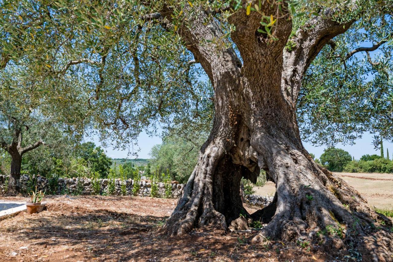 Вилла Il Trullo Della Rondinina Альберобелло Экстерьер фото